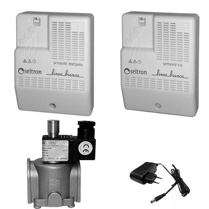 Комплект на природный и угарный газы

                                RGD-CH4+CO-DN20